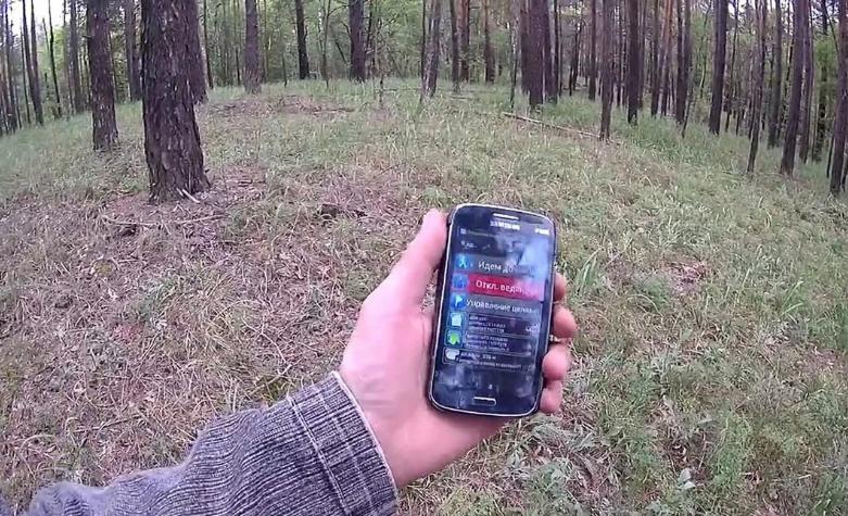 Кто чаще всего теряется в лесу, и как этого избежать: заряжать вовремя телефон