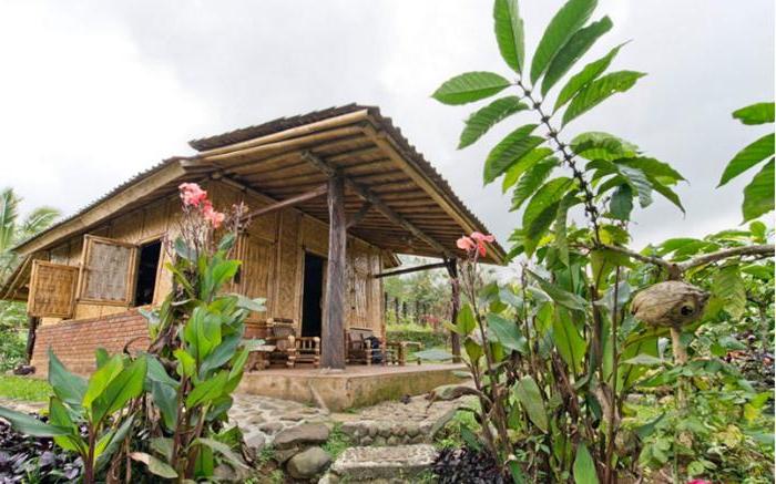 Вьетнамец построил себе дом на природе почти полностью из бамбука. Железобетонное только основание - для уверенности в надежности здания