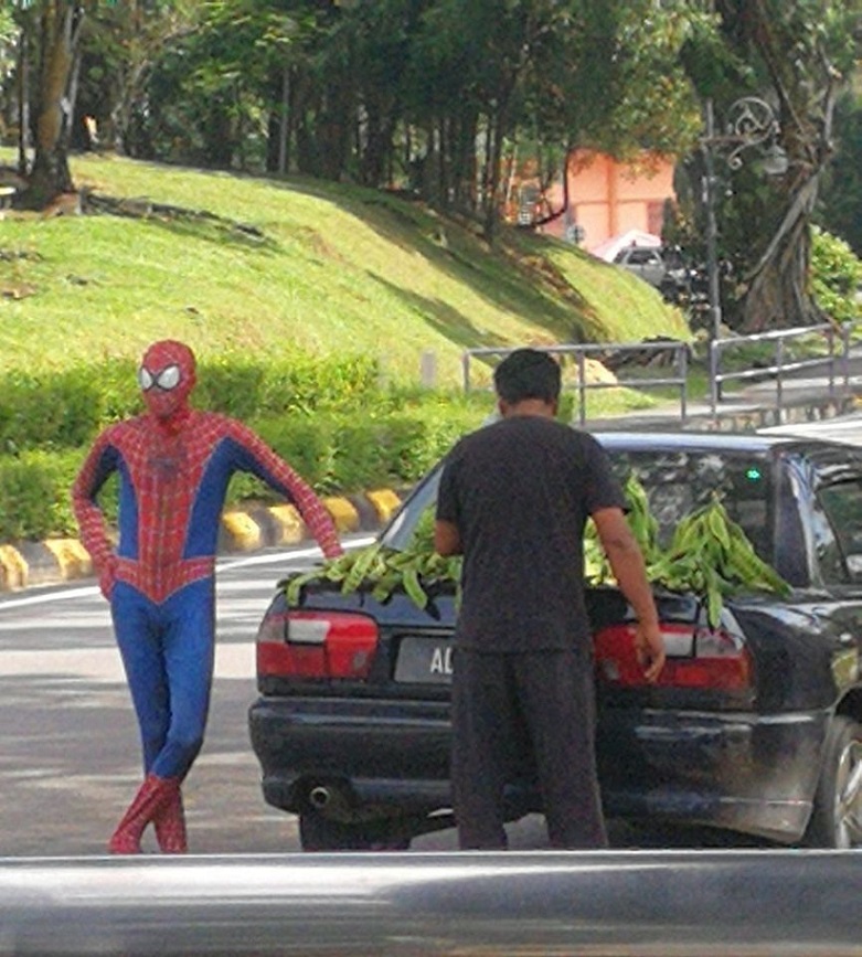 Чтобы повысить продажи и привлечь покупателей, 22-летний парень в Малайзии продает бобы в костюме Человека-паука (фото)