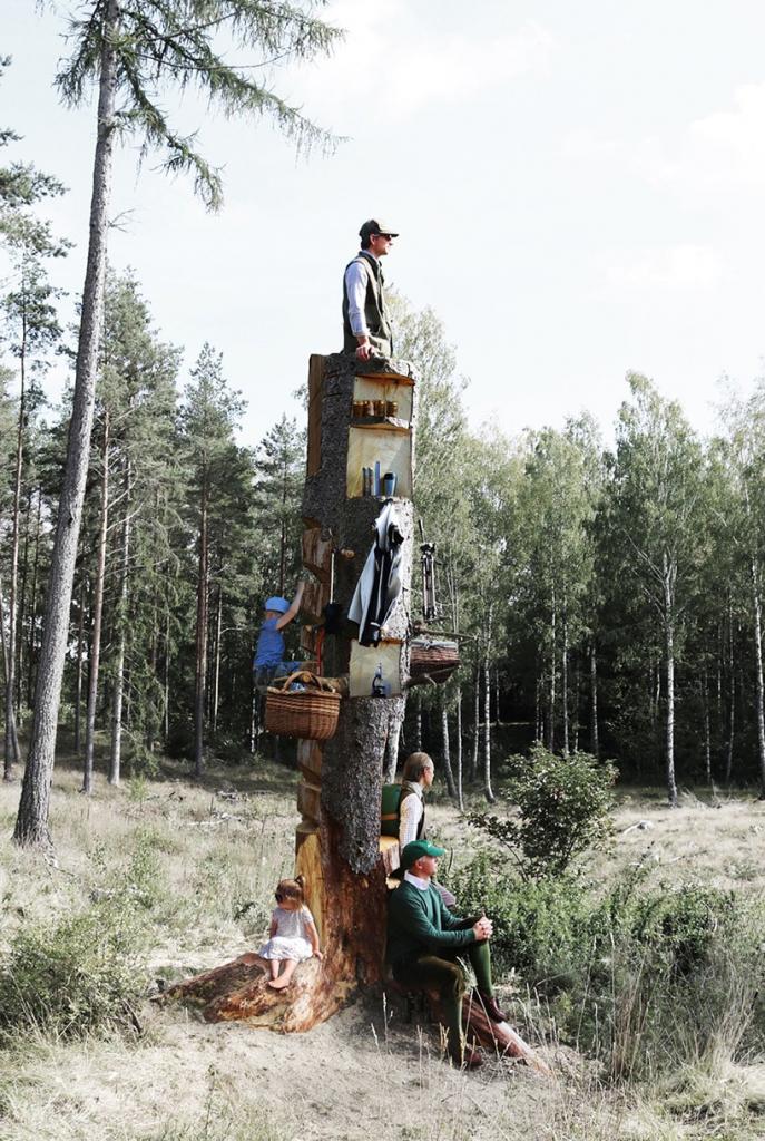 Полочки и крючки для одежды: архитекторы вырезали наблюдательную вышку для скаутов прямо в стволе засохшего дерева