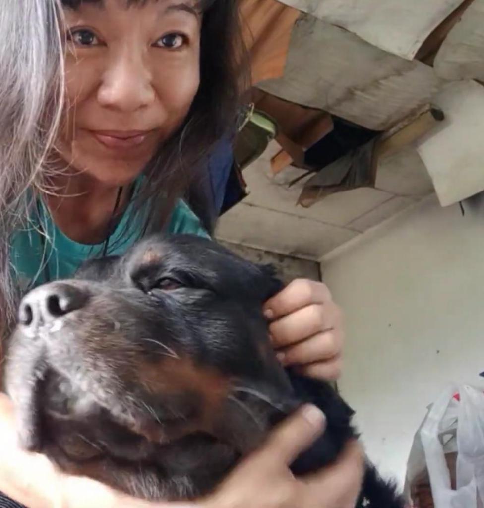 Только машина, любимая собака и дорога: 53-летняя женщина из Малайзии проживает жизнь, о которой мы только мечтаем