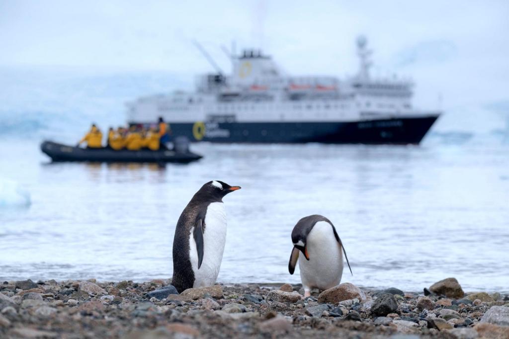 Никакого паспортного контроля, а загар насыщеннее южного: путешествие на край земли - однодневная поездка в Антарктику