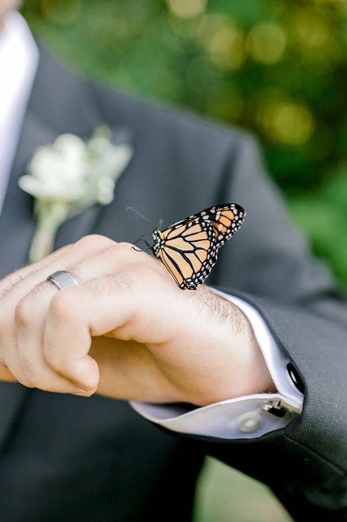 Свадебная фотосессия приобрела сказочный поворот после того, как к паре присоединилась бабочка