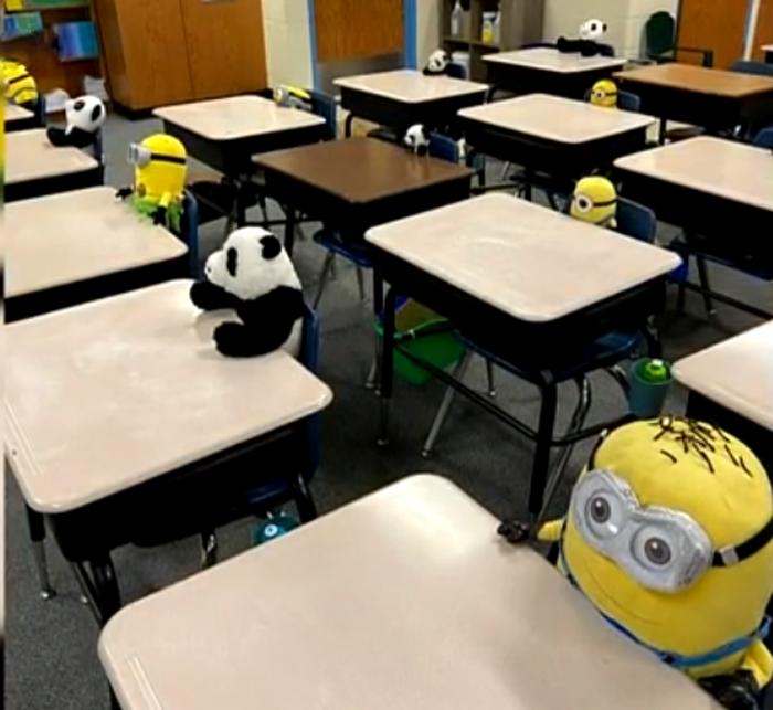 «Это меня веселит!»: во время онлайн-занятий учитель рассаживает за пустующие парты необычных «учеников»