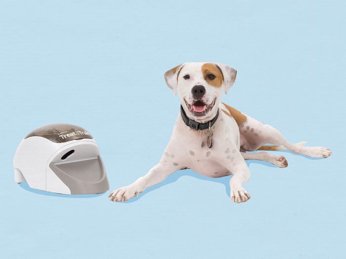 Чтобы помочь питомцу преодолеть тревожность, включите белый шум. 10 способов успокоить собаку (по мнению ветеринаров)