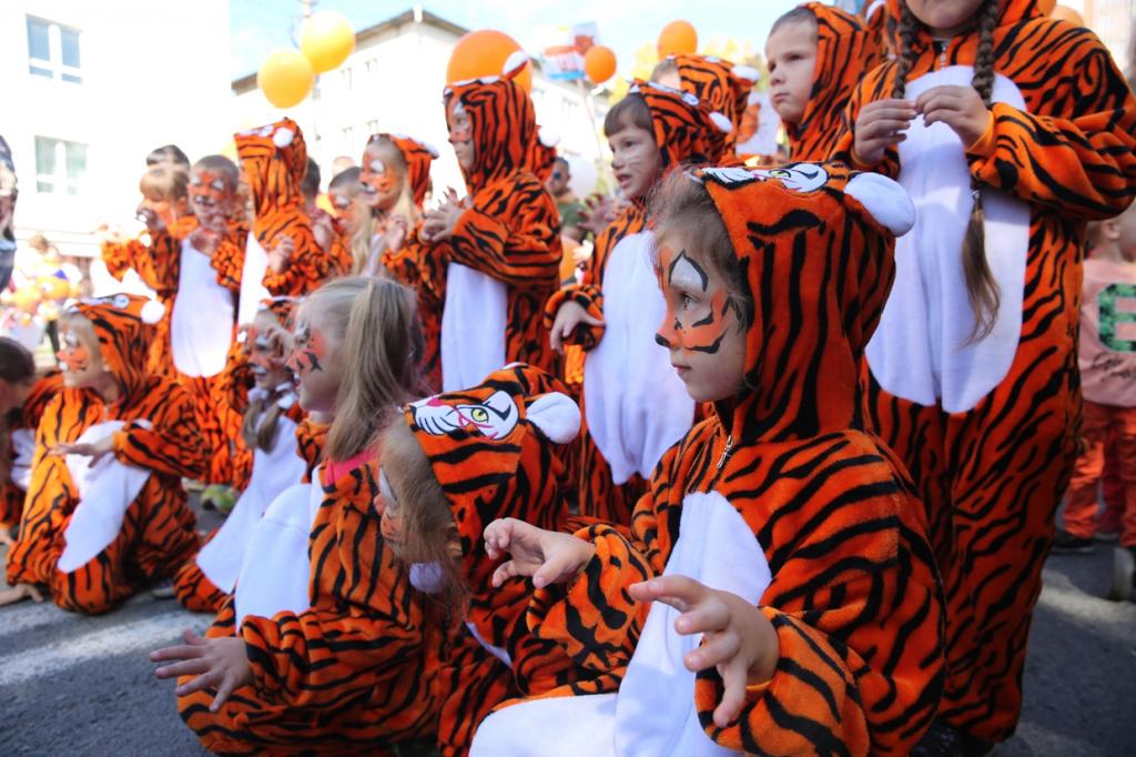 Ежегодный День амурского тигра во Владивостоке отпразднуют онлайн: вместо "полосатого" шествия объявлен конкурс видео