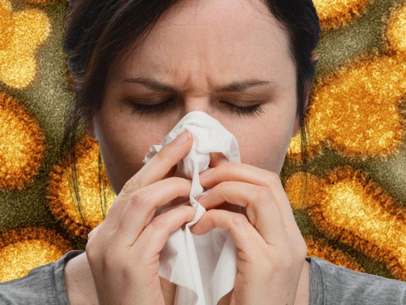 Пробиотики помогают нашей иммунной системе справиться с простудой и гриппом