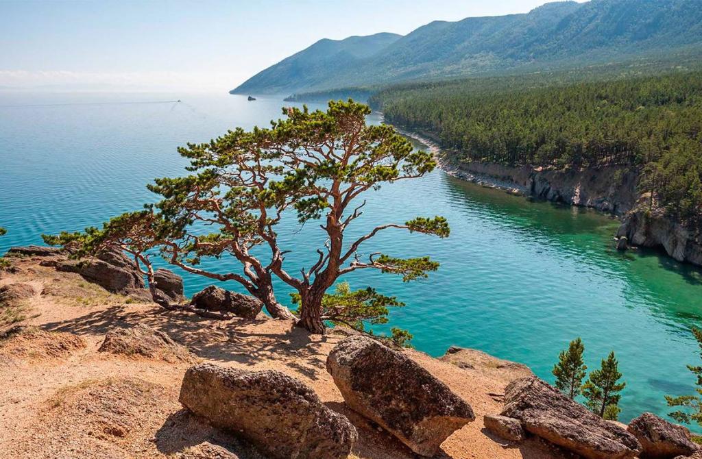 Камни, деревья, вода... но какие! Почему я считаю, что каждый россиянин хотя бы раз в жизни должен побывать на Байкале