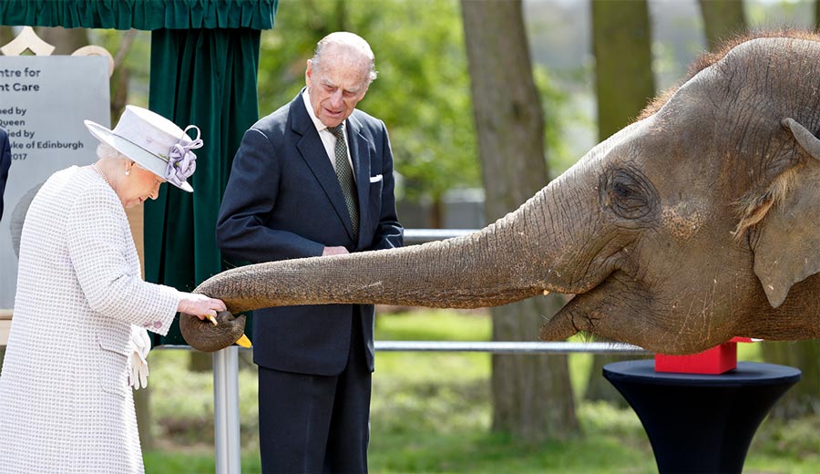 Герцогиня кормит осиротевшего детеныша носорога! Подборка трогательных фотографий, на которых члены королевской семьи запечатлены вместе с животными