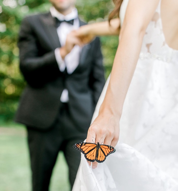 Во время свадебной фотосессии к паре присоединилась бабочка: снимки получились просто волшебными
