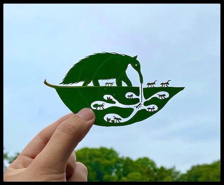 Японский художник создает невероятно замысловатые произведения искусства из листьев деревьев
