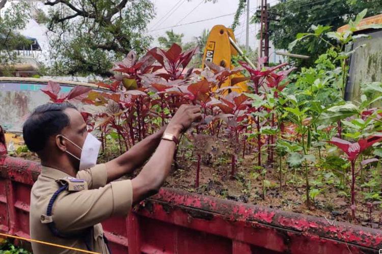 Смекалка и экономия: чтобы конфискованные автомобили не простаивали зря, индийские полицейские выращивают в них овощи
