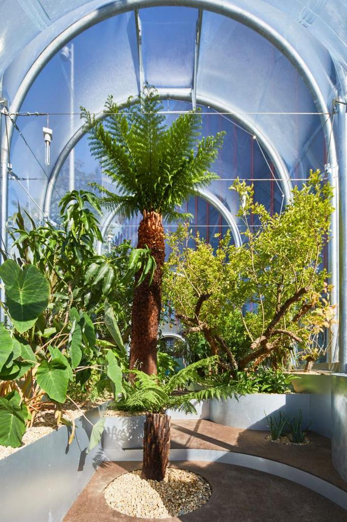 Чтобы подчеркнуть повышение температуры в Великобритании, в Лондоне построили теплицу с тропическими растениями. Такие "напоминалки" будут не лишними в любой точке планеты