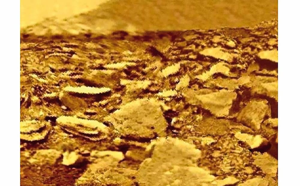 Есть ли на Венере инопланетная жизнь? Ученые обнаружили следы газа фосфина, который может исходить от микроорганизмов