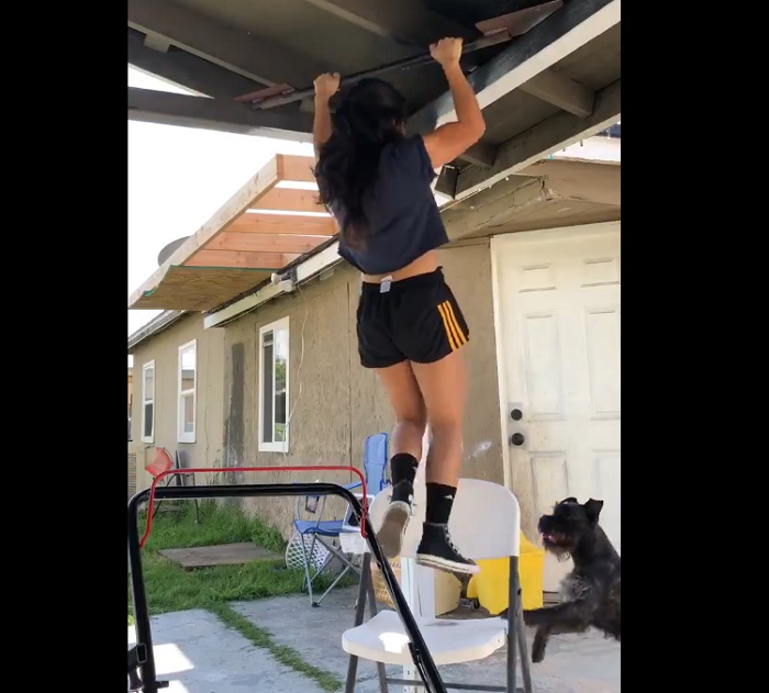 Девушка занялась дома спортом: ее пес решил, что хозяйке нужно немного помочь (видео)