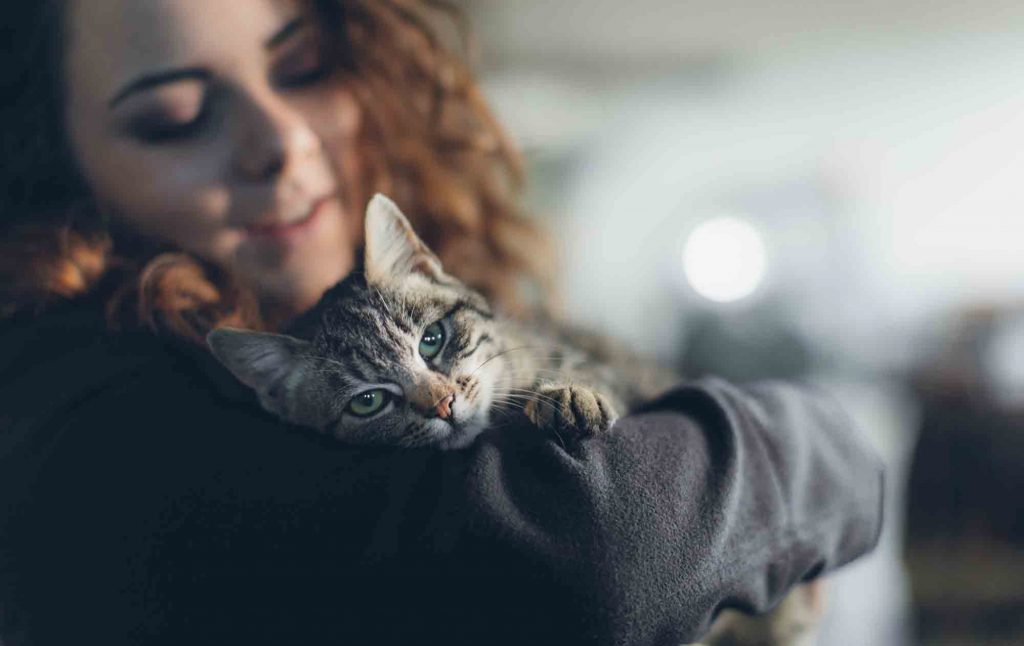 Кот не отходил от хозяйки ни на секунду: когда она привела его к ветеринару, то услышала радостную новость – не для питомца, а для себя