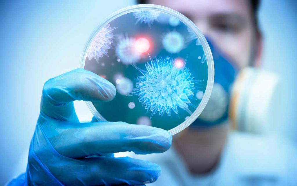 Сибирские ученые работают над созданием универсального противовирусного средства
