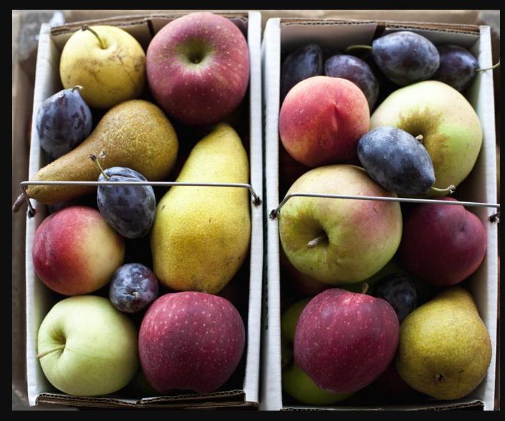 Осень - время изобилия овощей и фруктов. В этом году я выписала и приклеила на холодильник советы, как сохранить их свежими подольше