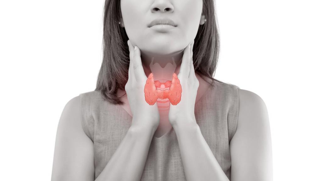 Щитовидная железа вырабатывает жизненно важные гормоны: любимые продукты, которые делают ее слабой