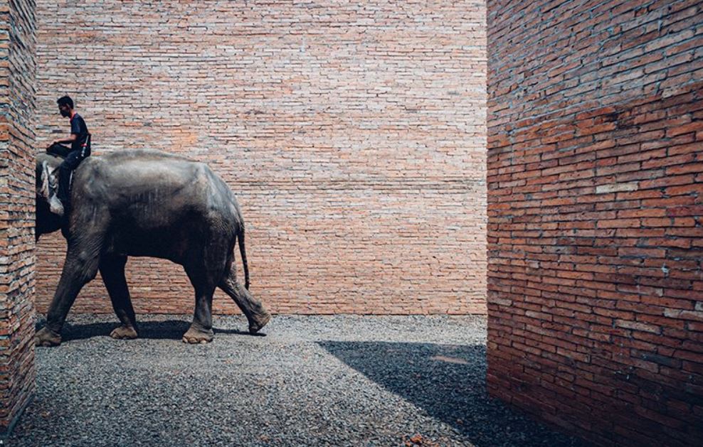 Масштаб впечатляет: как выглядит уникальный Музей слонов в Таиланде, построенный из кирпичей ручной работы