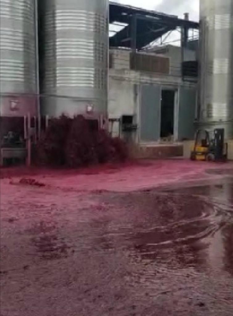 Испанский производитель вина потерял 50 000 литров напитка: прорвало резервуар (видео)