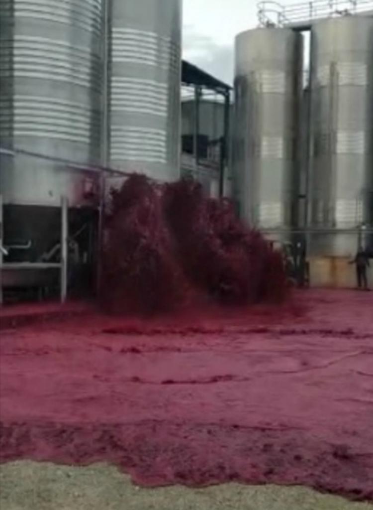 Испанский производитель вина потерял 50 000 литров напитка: прорвало резервуар (видео)