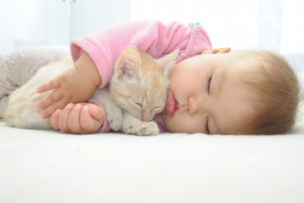 Пушистые охранники: милые фото домашних котов и младенцев, которые растопят ваше сердце
