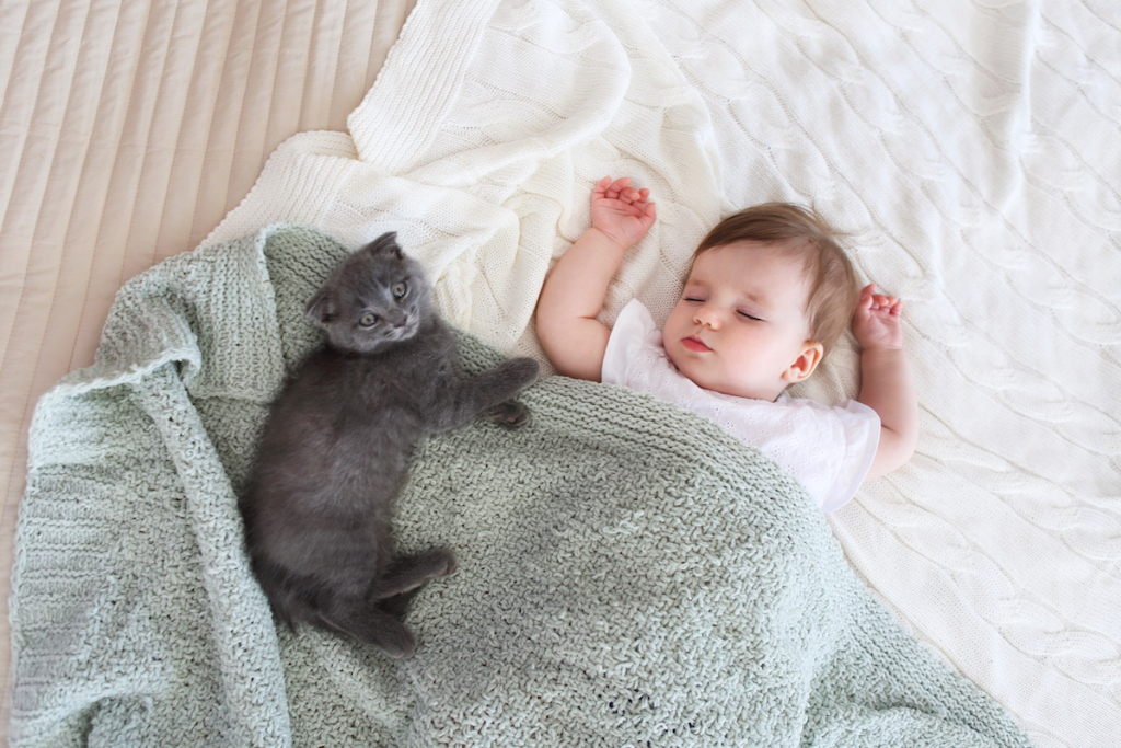 Пушистые охранники: милые фото домашних котов и младенцев, которые растопят ваше сердце