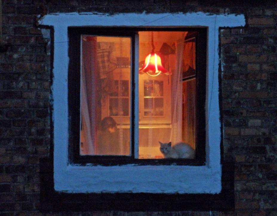 Люди любят заглядывать в окна чужих квартир: что об этом думают психологи