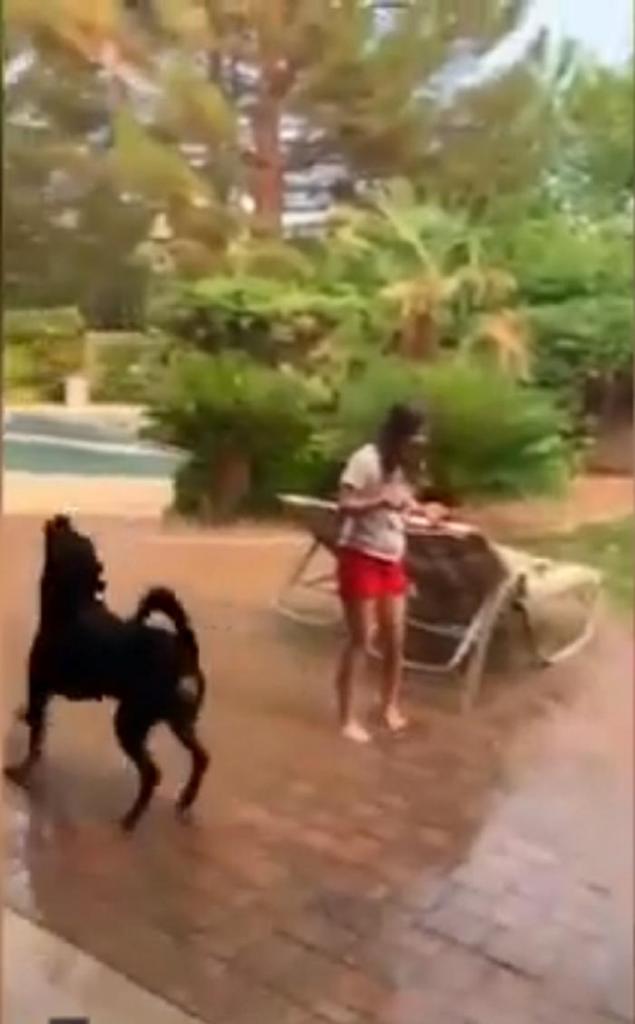 Впервые за 5 месяцев пошел дождь: хозяева записали, как пес проявил свою радость (видео)