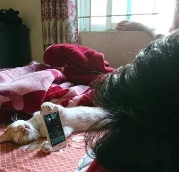 Парень хотел посмотреть фильм, но не хотел держать телефон в руках: хорошо, что рядом спал кот