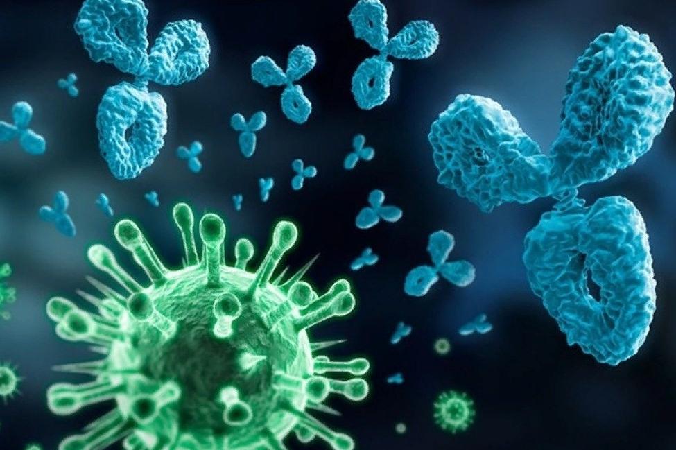 Вакцина от коронавируса: Сколько она будет стоить в разных странах? Кто ее получит первым?