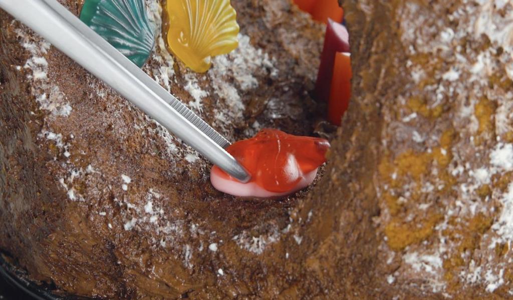 "Морской" торт с шоколадным кремом: выглядит, как настоящее произведение искусства