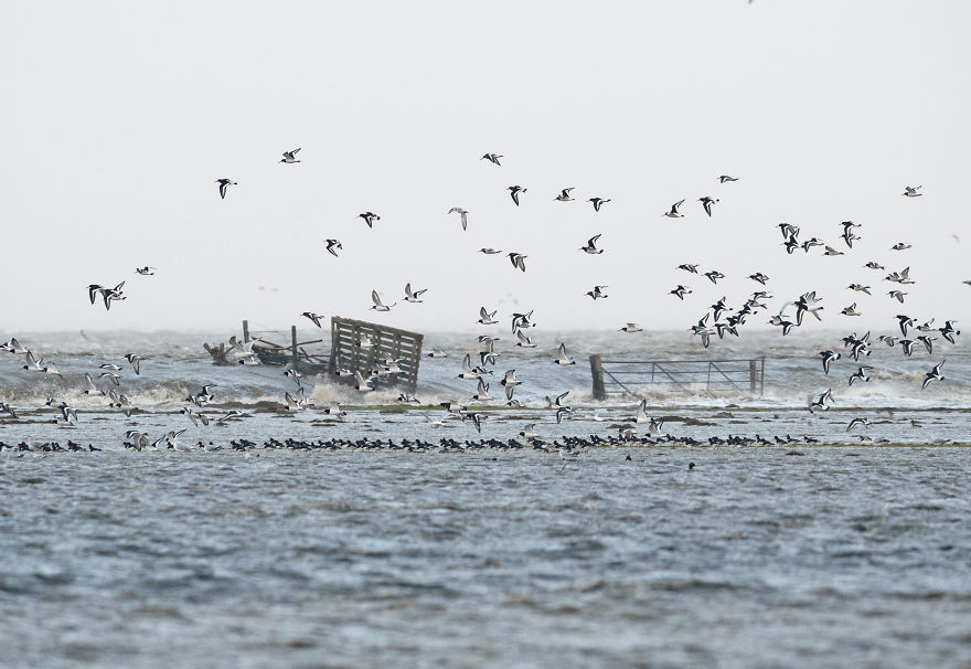 Нидерландский фотограф 7 лет снимал приливы и штормы на голландском побережье: что у него получилось