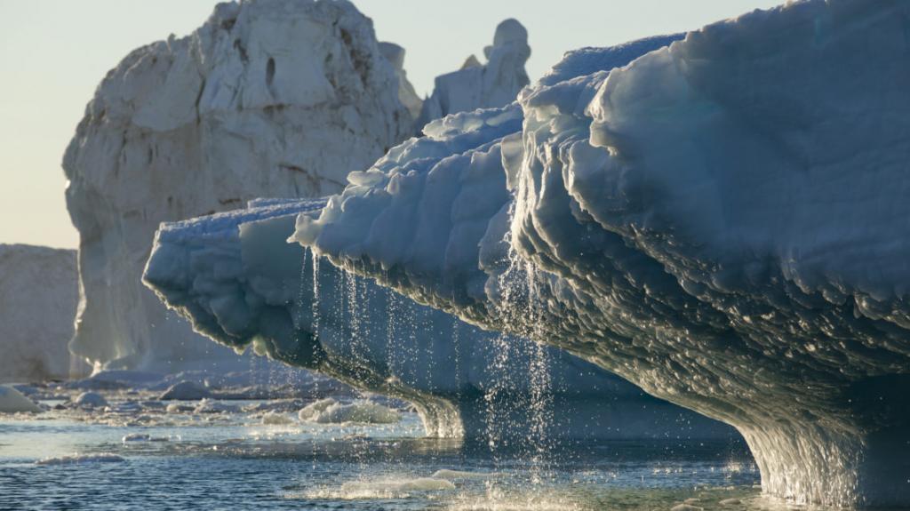 Бутилированная вода родом из Гренландии: самый абсурдный продукт 2020 года, согласно мнению учредителей премии Environmental Shame Award