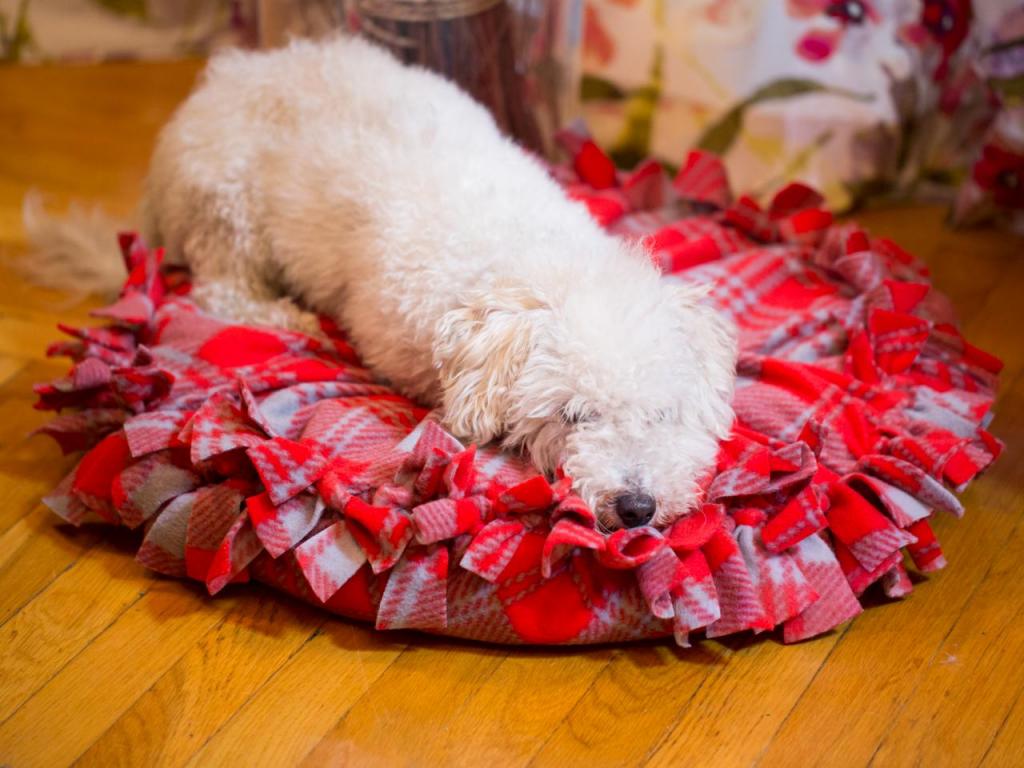 Делаем мягкую кровать для собаки из теплого пледа: шить для этого не надо