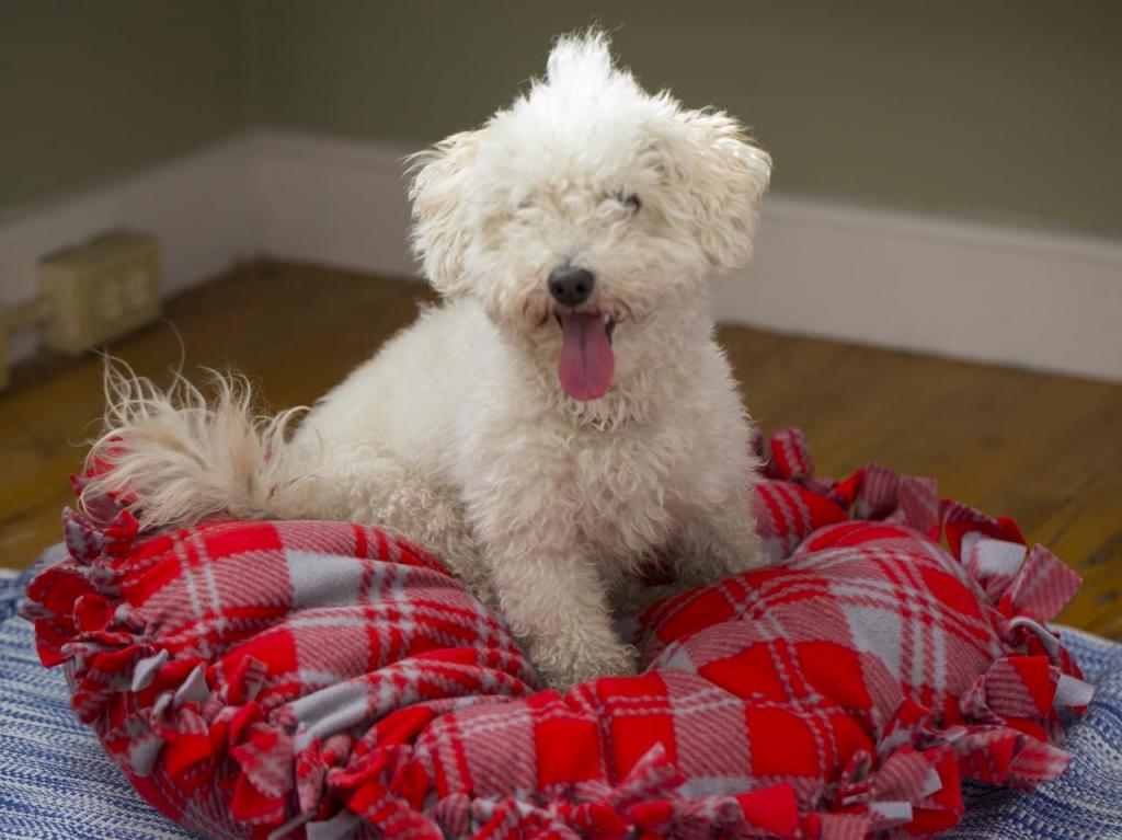 Делаем мягкую кровать для собаки из теплого пледа: шить для этого не надо