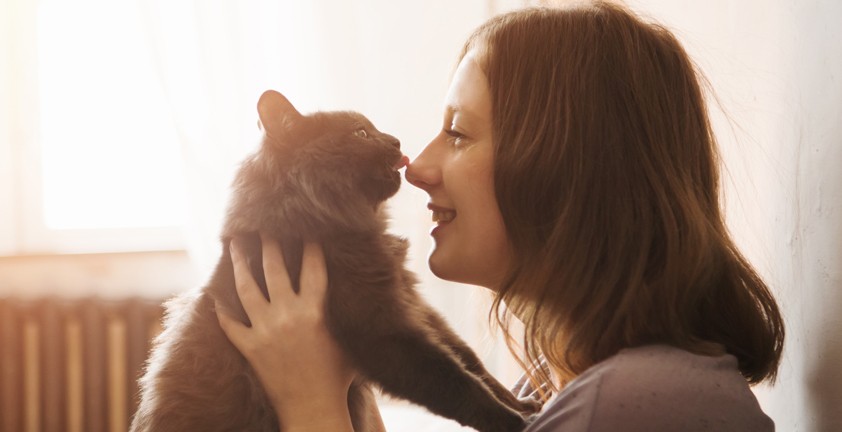 Доказано наукой: кошки распознают человеческое поведение и подражают ему