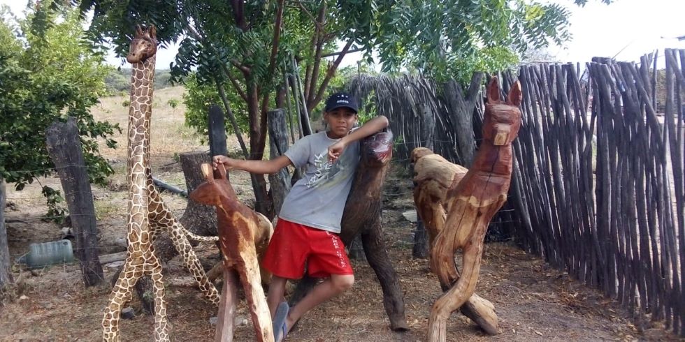 Мальчик с детства занимается ремеслом по дереву. Труд 13-летнего мастера отметили стипендией для изучения искусства