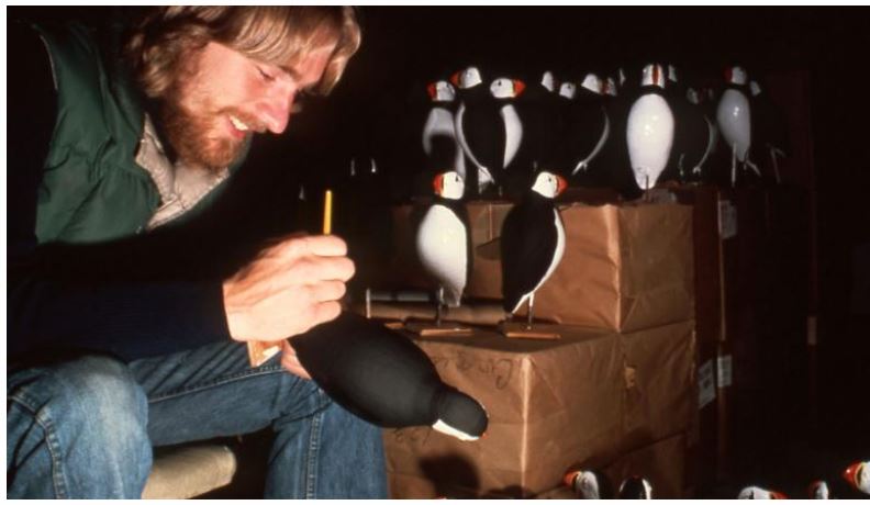 Удивительный метод, разработанный орнитологом Стивеном Крессом для спасения тупиков, теперь используется защитниками морских птиц по всему миру