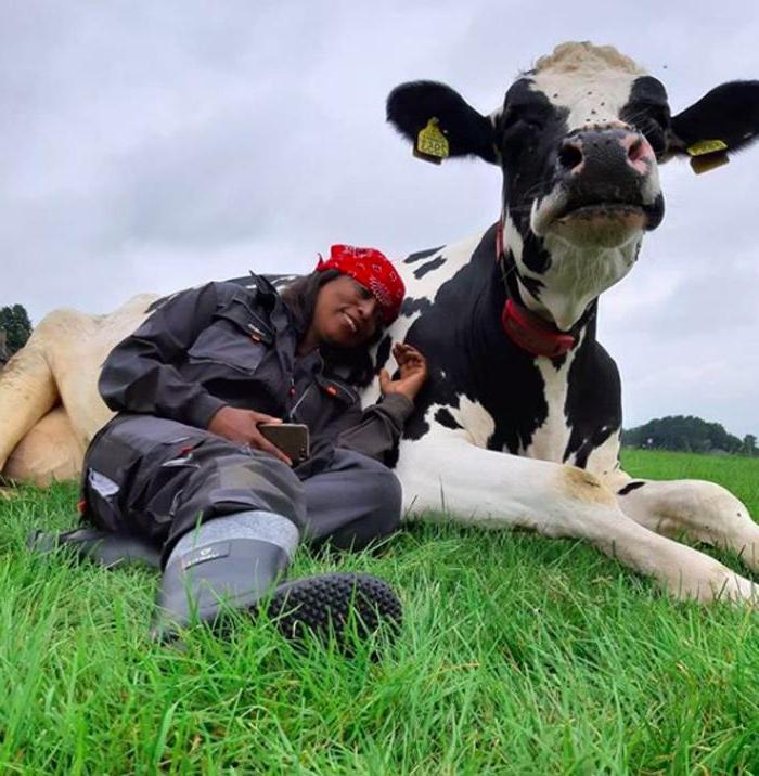 Их часто называют большими собаками: Сюзанна из Нью-Йорка приглашает людей обняться с коровами, чтобы снять стресс и почувствовать себя счастливее