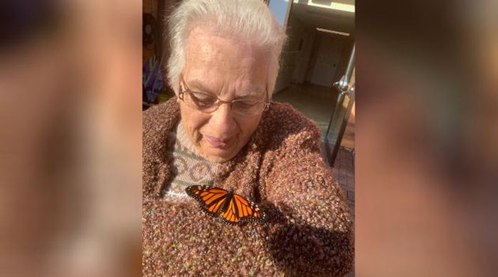 "Леди Монарх": в канадском доме престарелых пенсионерка радует пожилых людей красивыми бабочками