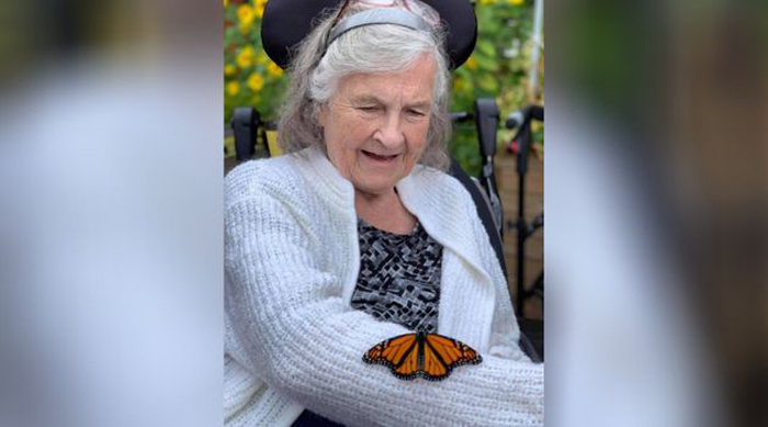 "Леди Монарх": в канадском доме престарелых пенсионерка радует пожилых людей красивыми бабочками