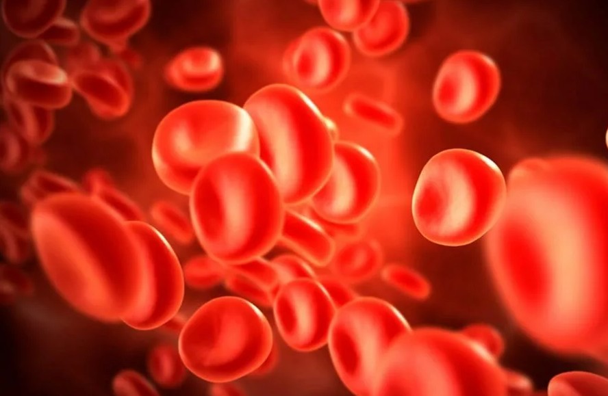 Два независимых исследования доказывают, что люди с I группой крови менее уязвимы к COVID-19 и легче его переносят