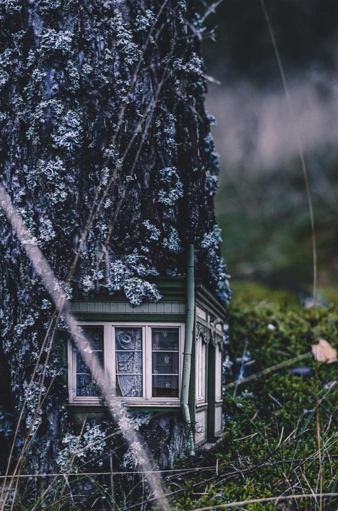 В поленьях, под грибом, в тыкве: девушка редактирует самые обычные снимки, вставляя в них крошечные домики (во многие хочется переехать жить)
