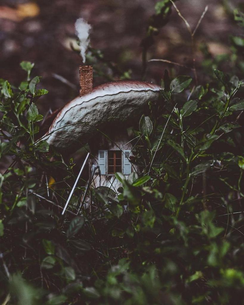 В поленьях, под грибом, в тыкве: девушка редактирует самые обычные снимки, вставляя в них крошечные домики (во многие хочется переехать жить)