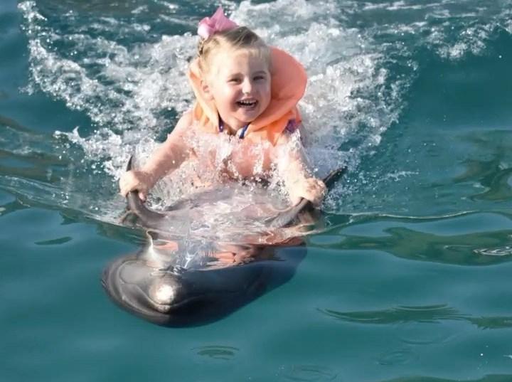 Отважная девочка. Трехлетняя дочь Пелагеи показала смелый трюк с дельфином (видео)