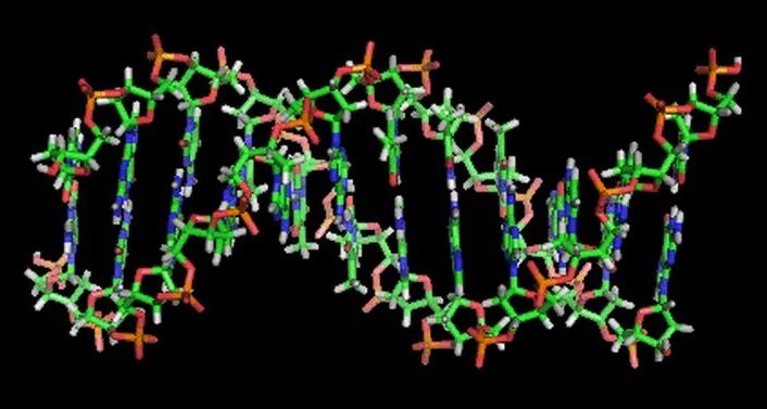 Новое исследование показало, что "мусорная" ДНК, унаследованная от древних предков, может влиять на поведение и эмоции человека