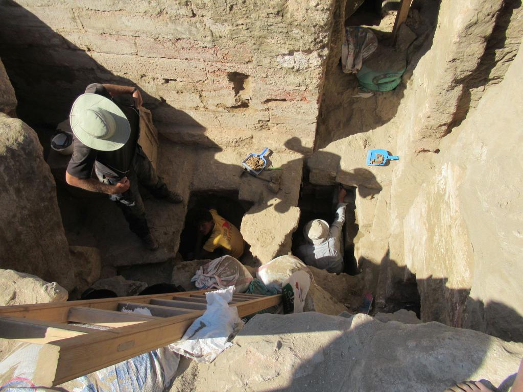 Археологи обнаружили удивительные артефакты в древнеегипетском храме Сераписа (фото)