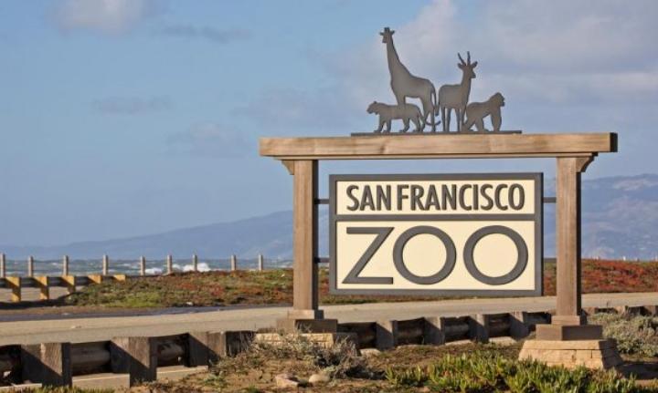 Из зоопарка Сан-Франциско украли лемура, а 5-летний мальчик помог его обнаружить